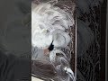 もっと早く知りたかった🥹 カビ知らずの浴室を保つ方法