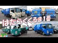 はたらくくるま１番　いろんな色のゴミ収集車がまちで大活躍🚙！