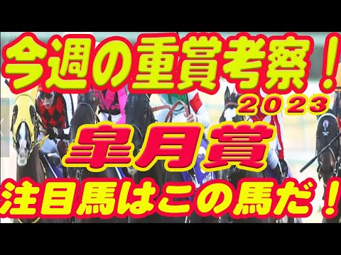 【 今週の重賞考察！】皐月賞の考察！M氏の注目馬を馬券期待値（SからEの６段階）で発表！これを見れば今週の馬券に繋がります！