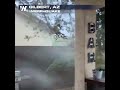 Strong Winds LASH Phoenix, AZ Metro From Monsoon Storms