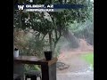 Strong Winds LASH Phoenix, AZ Metro From Monsoon Storms