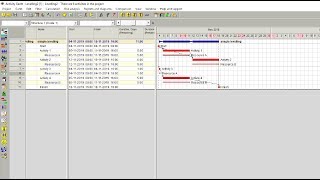 Spider Project. Resource leveling
