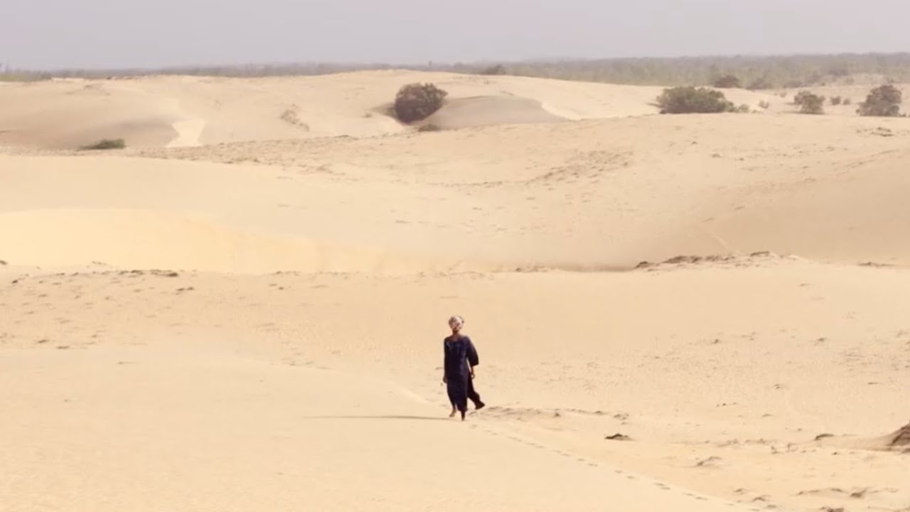 THE GREAT GREEN WALL TRAILER YouTube