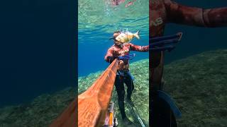 Αττική 2026 καλοκαιρινό ψάρεμα 🔥#spearfishing #fishing #yt#shorts