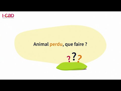 Vidéo: Animaux Perdus : Que Faire Si Votre Animal Se Perd En Vacances