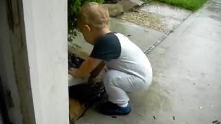 CIMG4917.AVI