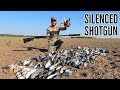 Opening Day Dove Hunting INSANITY using Silenced 12 Gauge!!