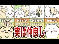 ＜総集編＞ちいかわ作品、各キャラごとの仲良しシーンまとめ【ゆっくり解説】