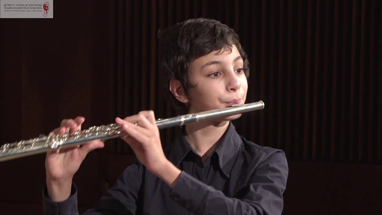 Guy Greenfeld Mercadante Flute Concerto in E minor, I. Allegro