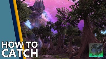 🌱How to catch Ninja Betta in FFXIV