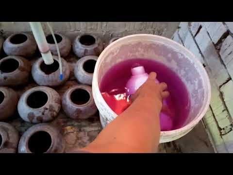 فيديو: كيفية غسل اليدين والحمام والملابس والأشياء الأخرى والأسطح من برمنجنات البوتاسيوم
