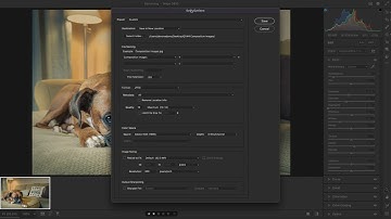 Adobe Bridge CC: How to rename, batch rename, and save files.