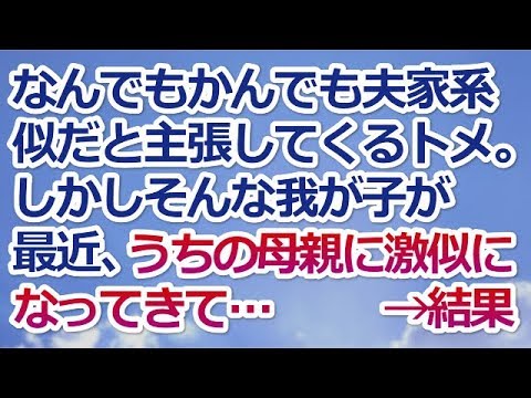【スカッとする話】なんでもかんでも夫家系似だと主張してくるトメ。しかしそんな我が子が最近うちの母親に激似になってきて…　　→結果ｗｗ【スカッと便り】