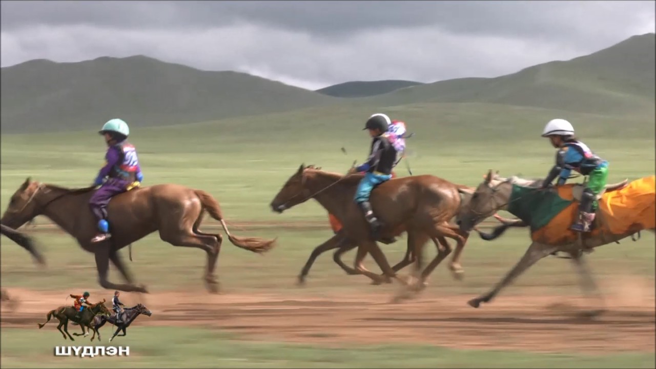 Ulsyn naadam 2016. Shudlen