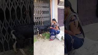 Jiyab Nahi Tohara Bina Video Bhojpuri Song Trending Gana