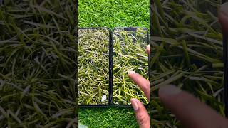 Display Test❗️i Phone 13 Pro Max vs Samsung Galaxy F54 5G❗️#shorts #trending #cameratest #viralvideo