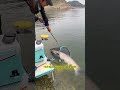 50kg fish stuck in rope🤯#fish #shorts