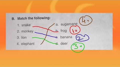 Dav Class -3 Science Ch-6 Feeding Habits of Animals  (Book Exercises) Part-3