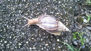 DSCF0039