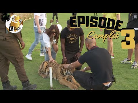DZ In Dubai Episode 3 En Entier HD 