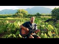 Jack Johnson Home Farm Aid 2020 On The Road mp3