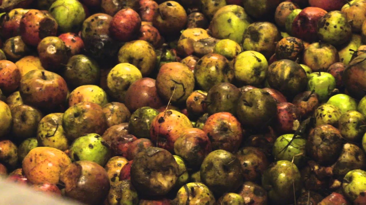 La fête du Cidre à Le Sap