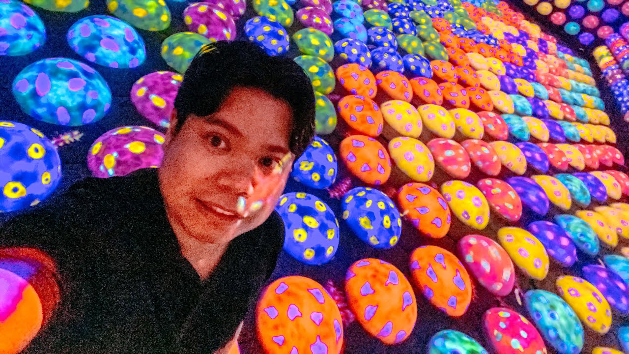 Exploring the Future of Digital Art at TeamLab Jeddah | Immersive Art Experience