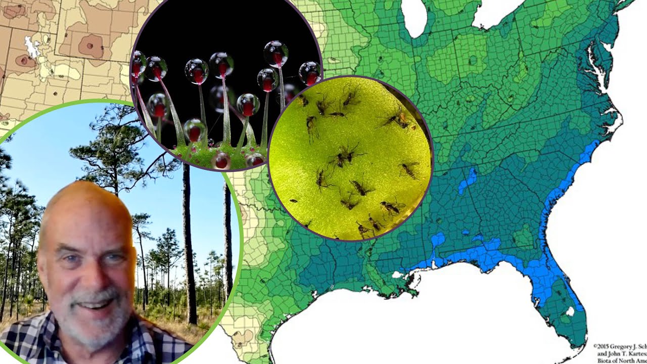 Plant Biodiversity in the Southeastern U.S. | An Overview with Alan Weakley