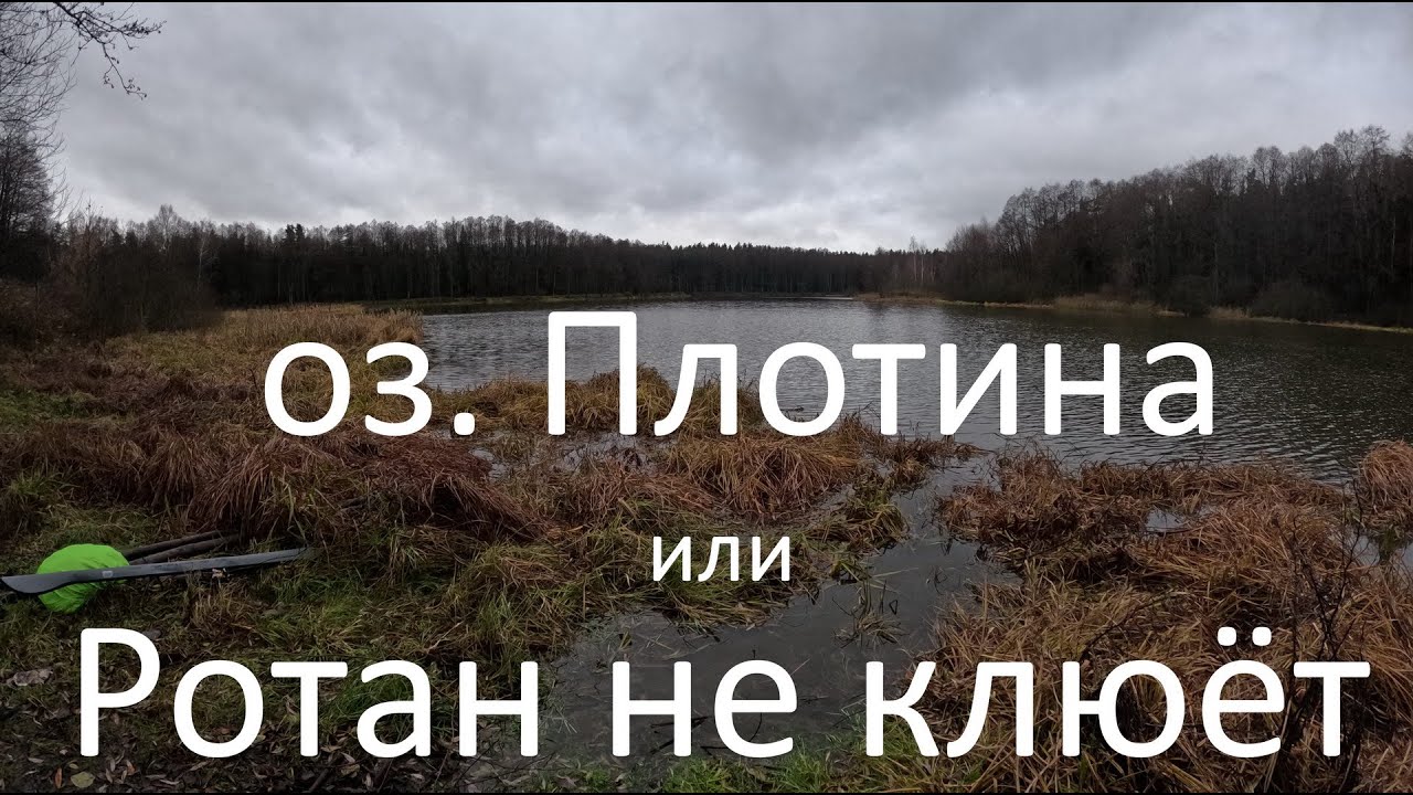 оз. Плотина или Ротан не клюёт. Первые впечатления  от Kaida Fortexa Silver Strong 7 м