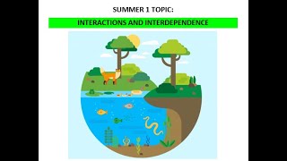 YR7 INTERACTIONS & INTERDEPENDENCE LESSON 7 & 8