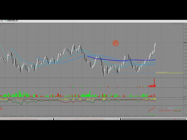 How to trade forex (with the MK web)