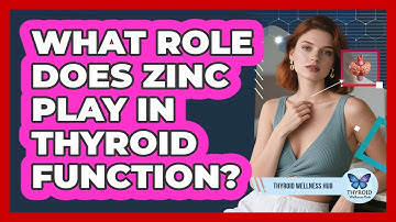What Role Does Zinc Play In Thyroid Function? - Thyroid Wellness Hub
