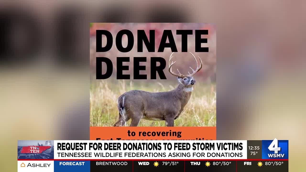 Deer meat donations needed to help East Tennessee Helene victims