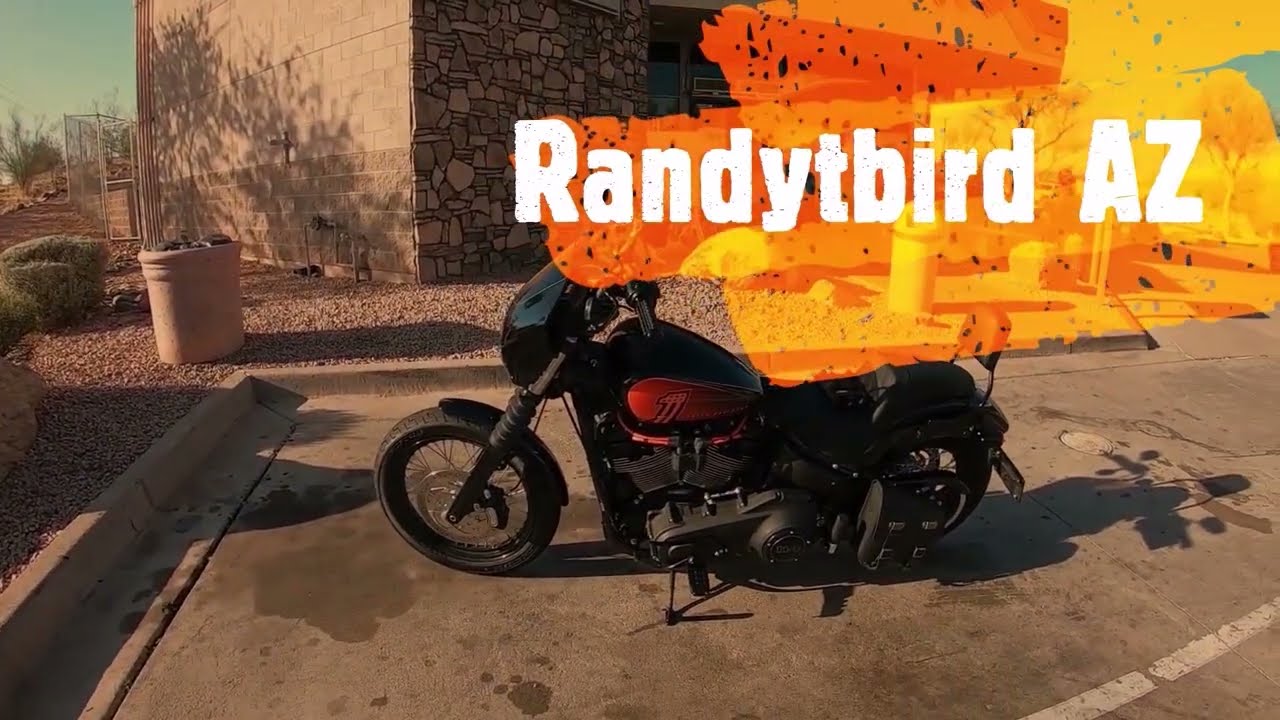 Randytbird Sportster or Big Twin, which is best?
