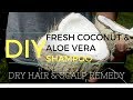 DIY Shampoo | Fresh Homemade Coconut Cream & Oil, and Aloe Vera Juice
