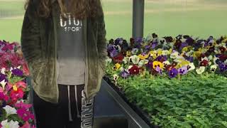 Troy FFA Seniors Give Advice to Younger Members