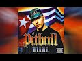 Pitbull Ft Piccallo Dammit Man Bass Boosted Pitbull Ft Piccallo Dammit Man Bass Boosted
