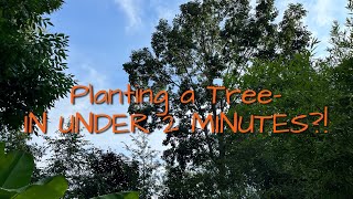 How to Plant a Tree - Condensed version - check description! | The Barefooted Gardener