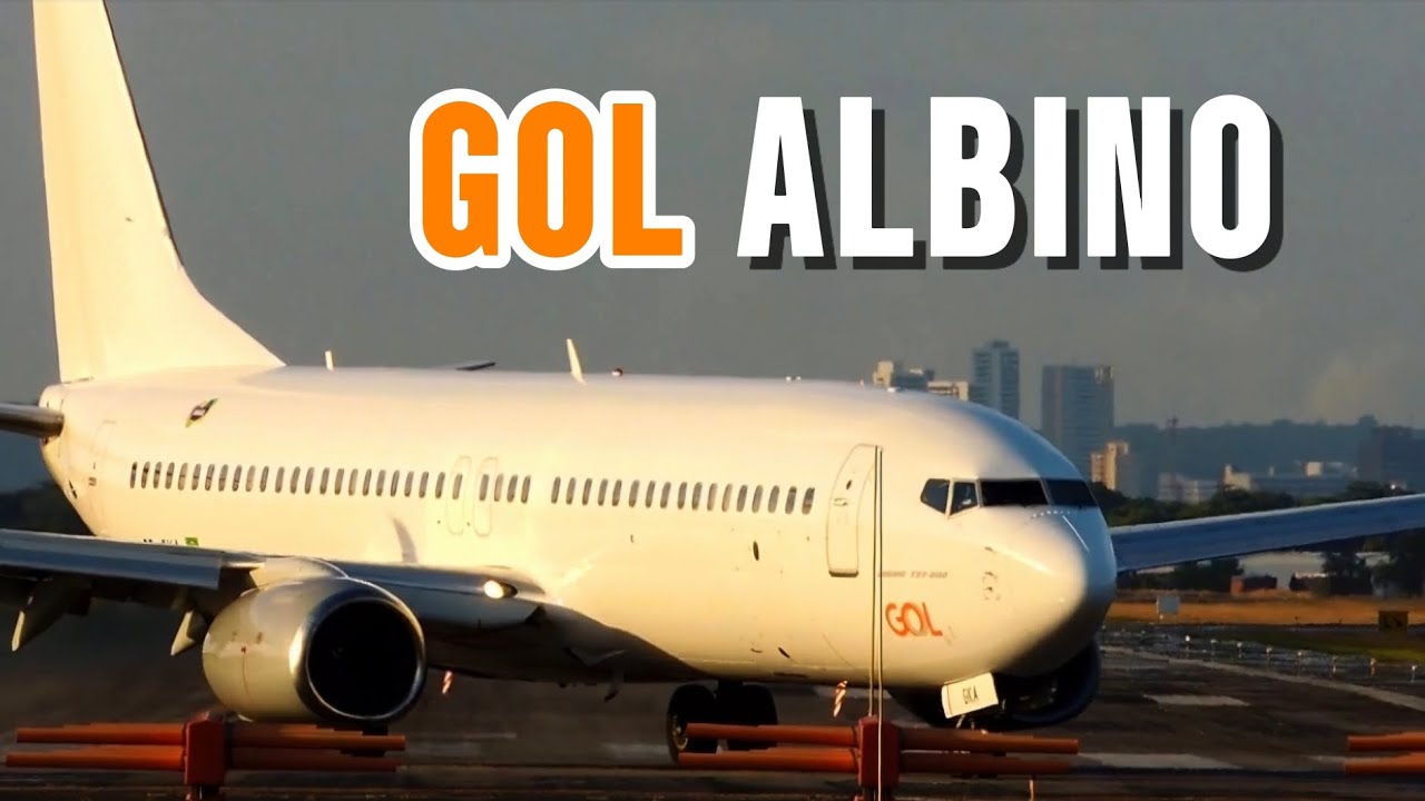 GOL ALBINO