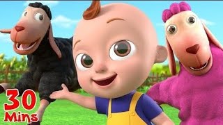 Baa Baa Black Sheep 🐑 30 Min Kids Songs | Farm Fun