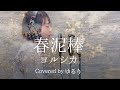 【short size】春泥棒 - ヨルシカ(Cover)大成建設CM「ミャンマー篇」テーマ - TVsize 【ゆるりの音】