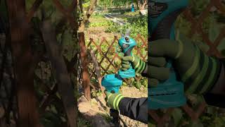 The ASMR of a Perfectly Clean Cut | So Satisfying #gardening #SEESII #1829