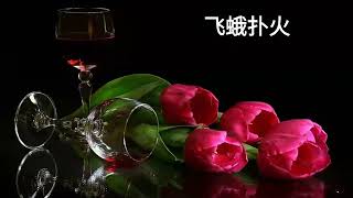 Fei E Pu Huo - Ban Dun Xiong Di - Inti Terjemahan & Lirik - 飞蛾扑火 Fei E Pu Huo - Ban Dun Xiong Di - Inti Terjemahan & Lirik - 飞蛾扑火