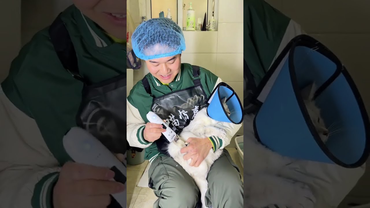 出口成髒的反骨銀漸層！這嘴真的太碎了！ 