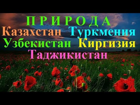 Природа  ЦЕНТРАЛЬНОЙ  АЗИИ.  Казахстан Туркменистан Кыргызстан Узбекистан Таджикистан