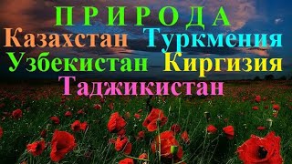 Природа  ЦЕНТРАЛЬНОЙ  АЗИИ.  Казахстан Туркменистан Кыргызстан Узбекистан Таджикистан