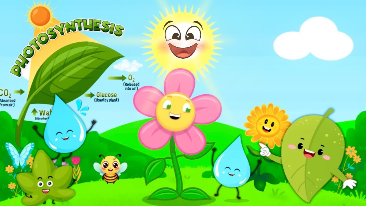 Photosynthesis | Sunshine & Science: Photosynthesis Explained |    Educational video for kids🌱🍃