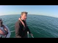 Out on the Boat today ,lots of Dolphins off Court Macsharry and Kinsale, County Cork