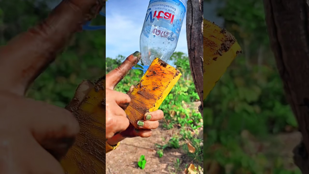 Survival Skills Mom Shows How to Make Soap and Water in forest #campping​ #outdoors​ #useful​