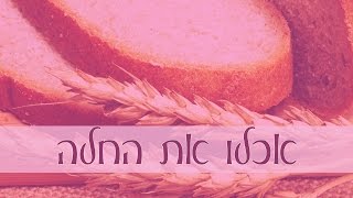 מה עושים אם החלה שהפרשנו נאבדה או נאכלה בטעות?